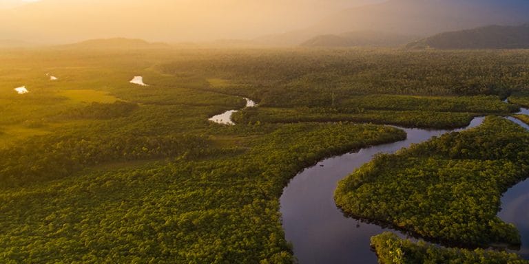 Entenda o que é o Fundo Amazônia e como ele contribui para o desenvolvimento sustentável