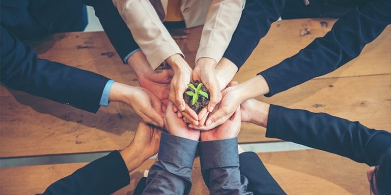 Como implantar práticas sustentáveis na sua empresa?