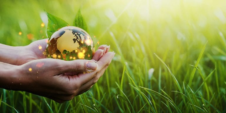 Como Escolher uma Empresa de Consultoria Ambiental: 7 Critérios