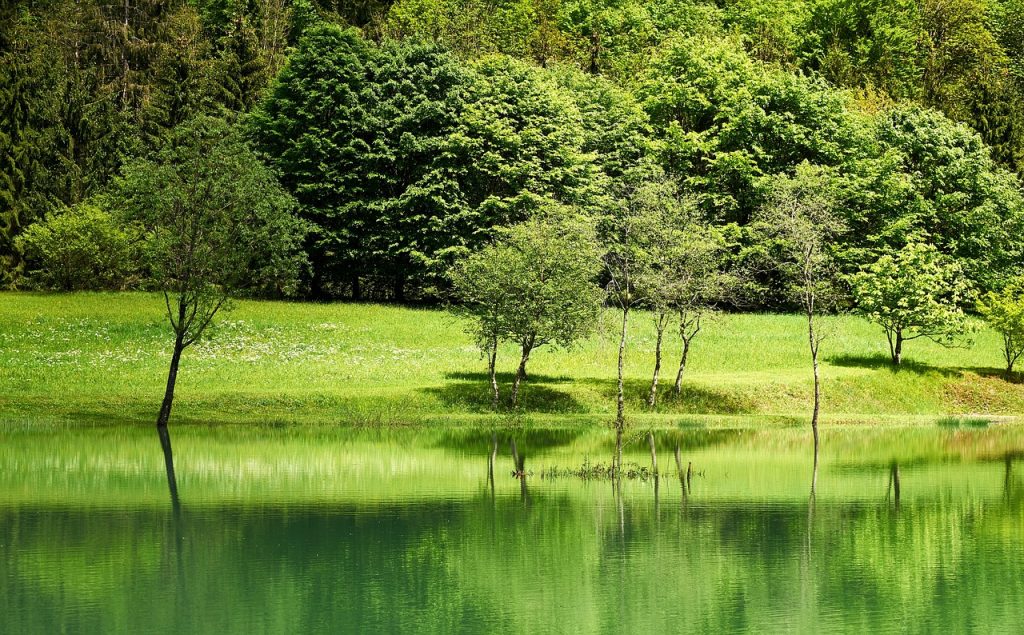 área de proteção ambiental